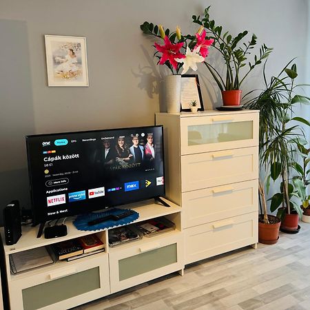 Onyx Apartment With Free Private Garage + Ac Budapest Eksteriør billede